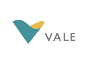 Logo vale